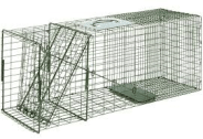 Racoon Cage